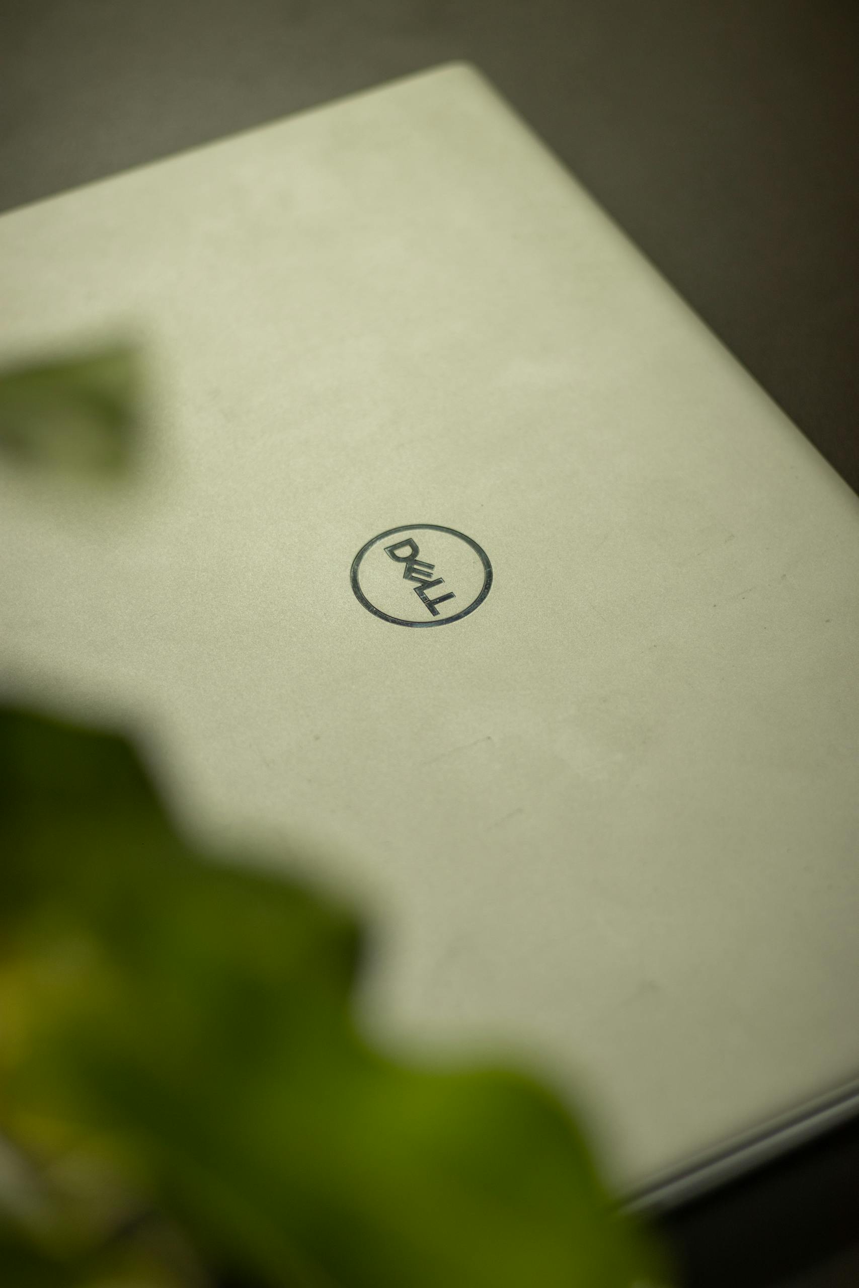 Close-up shot of a silver laptop with the Dell logo. Blurred green leaves add aesthetic depth.